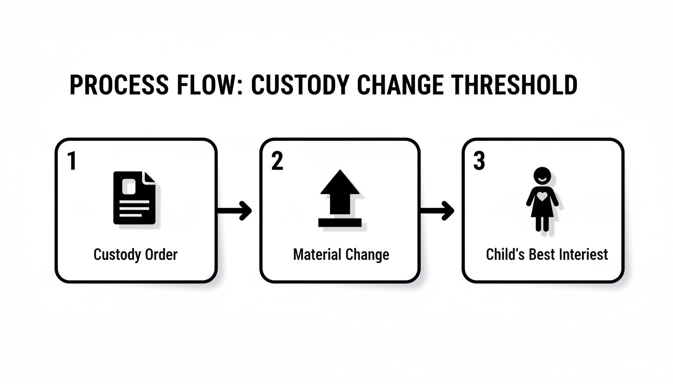 A process flow diagram illustrates the custody change threshold steps: Custody Order, Material Change, and Child's Best Interest.