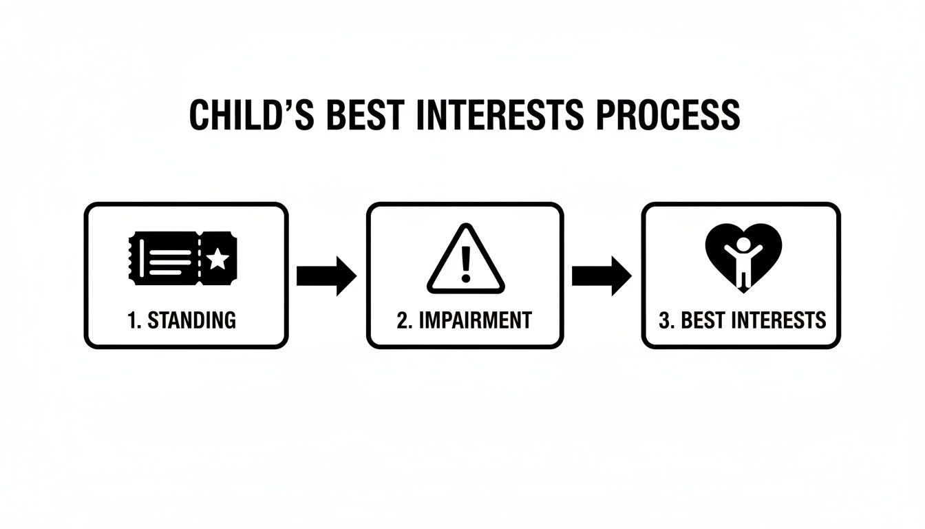 Flowchart illustrating the Child's Best Interests Process with three steps: Standing, Impairment, and Best Interests.