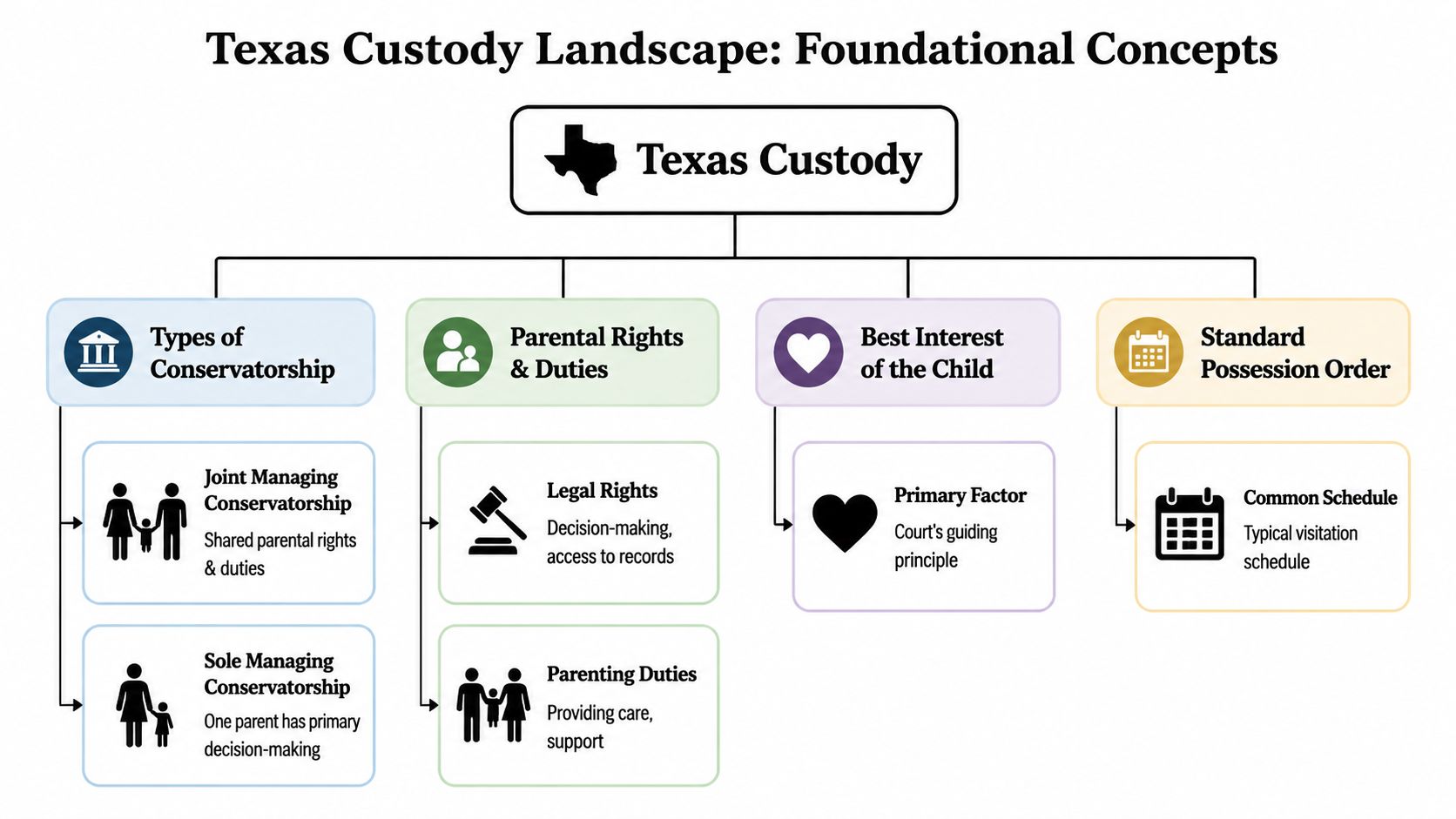 An organizational chart illustrating the foundational concepts of custody in Texas law and parental rights.