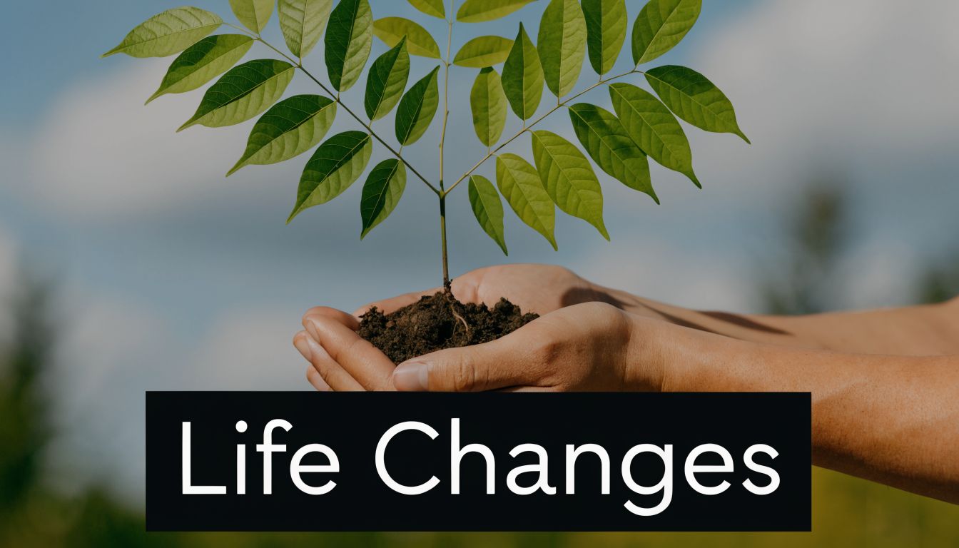 A person holds a small green plant in soil, symbolizing growth and personal transformation for life changes.